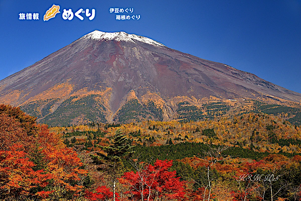 富士山の紅葉の写真