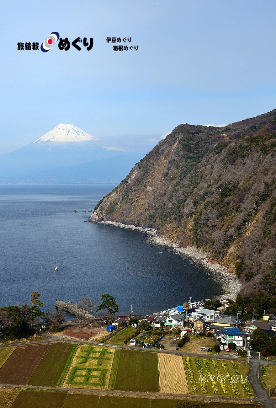 煌きの丘からの富士山の写真