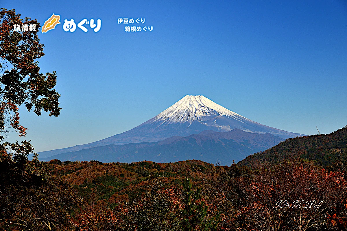 修善寺自然公園もみじ林からの富士山の写真