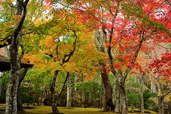 箱根美術館