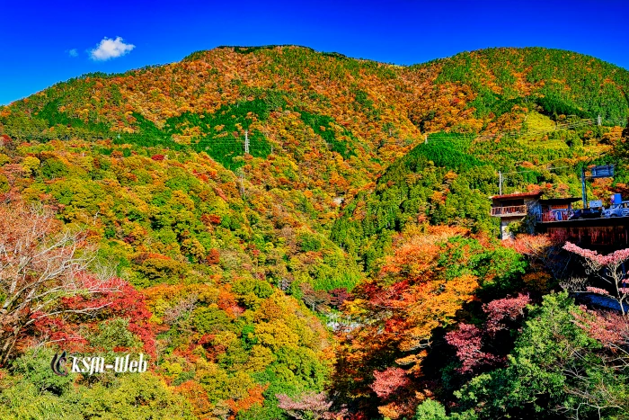 紅葉した山