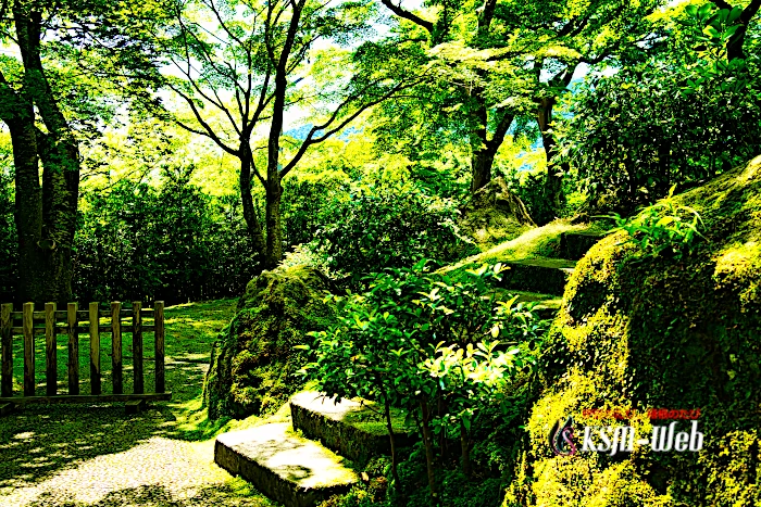 箱根美術館 苔庭