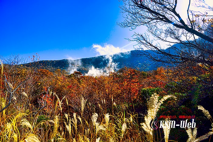 大涌谷の噴煙