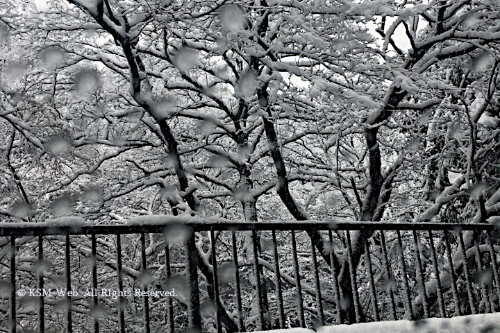 箱根 雪景色