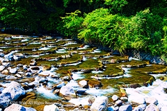 箱根湯本