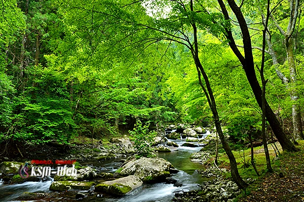 昭和の森会館周辺の写真