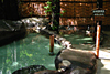 源泉 駒の湯荘の写真