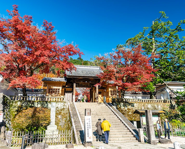 修善寺温泉の紅葉