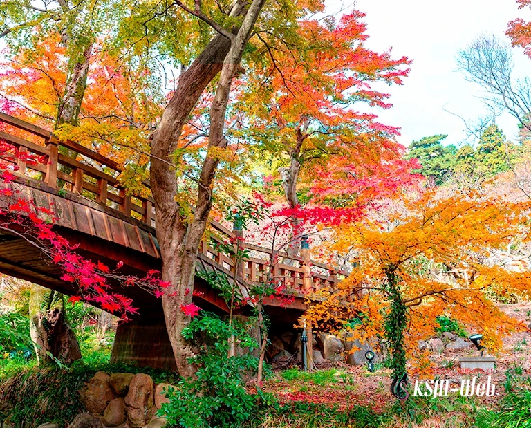 熱海梅園の紅葉