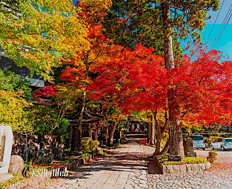 箱根 長安寺の紅葉