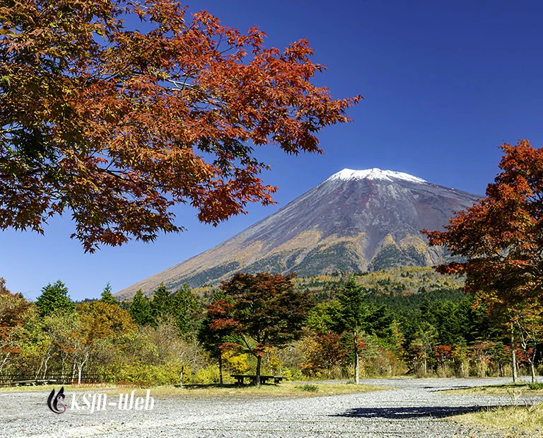 富士山南麓の紅葉