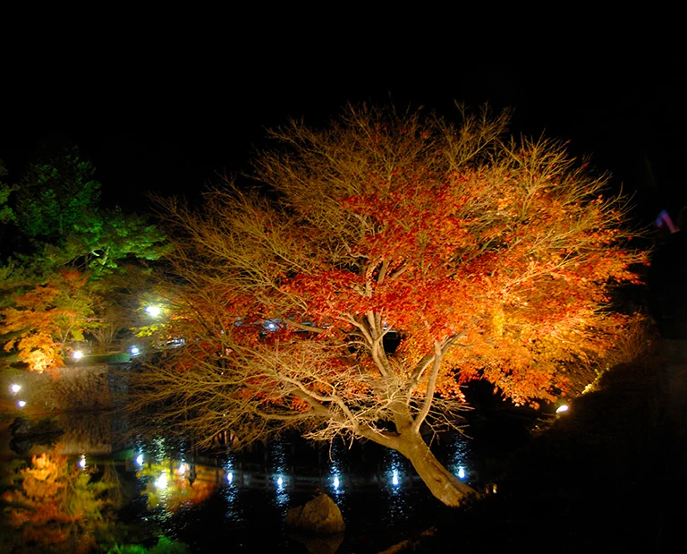 修善寺虹の郷の紅葉