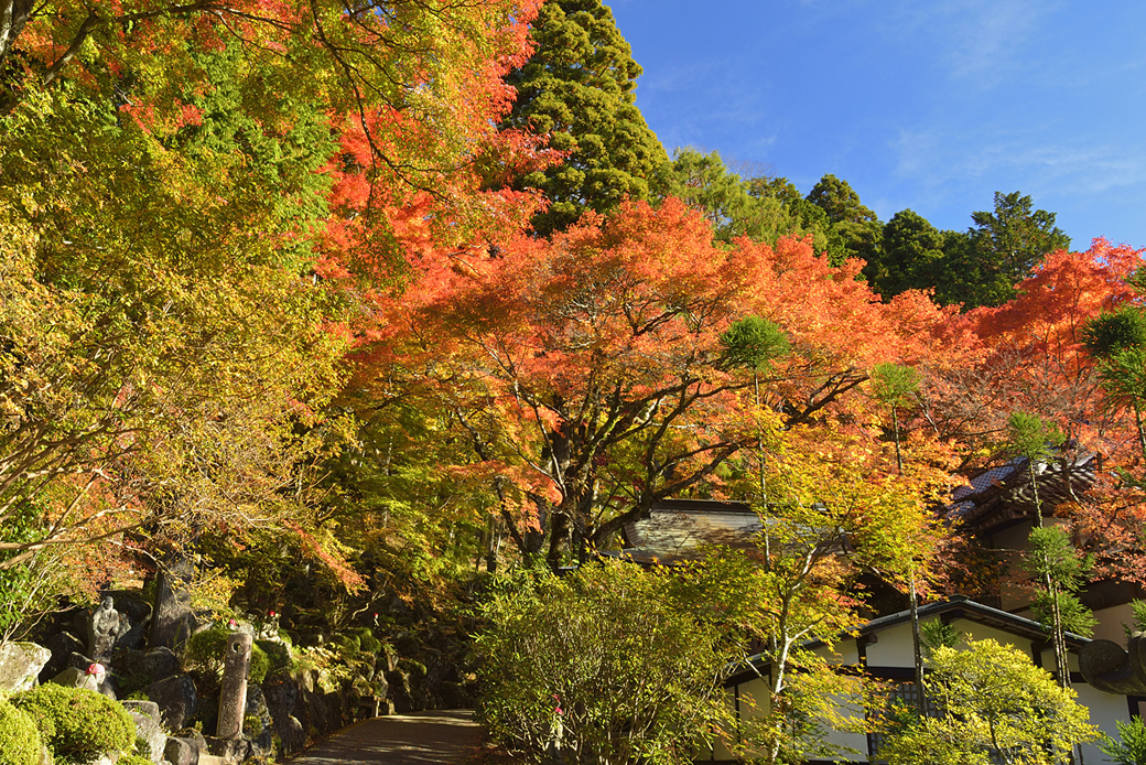箱根長安寺の紅葉