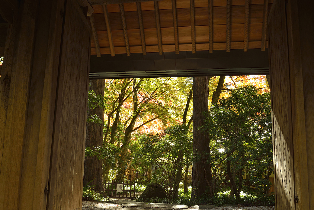 箱根長安寺の紅葉